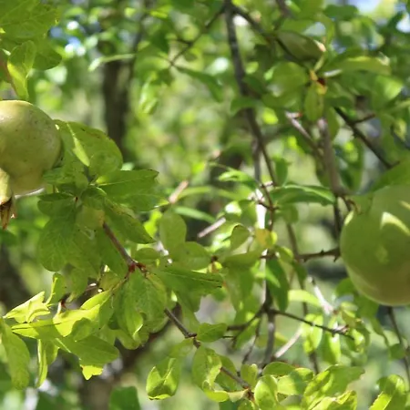 Quinta De Gestacos Farm stay *