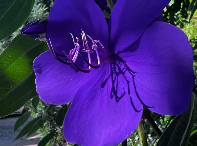 Alojamento de Turismo Rural Quinta De Gestacos *