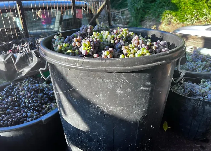 Quinta De Gestacos Alojamento de Turismo Rural