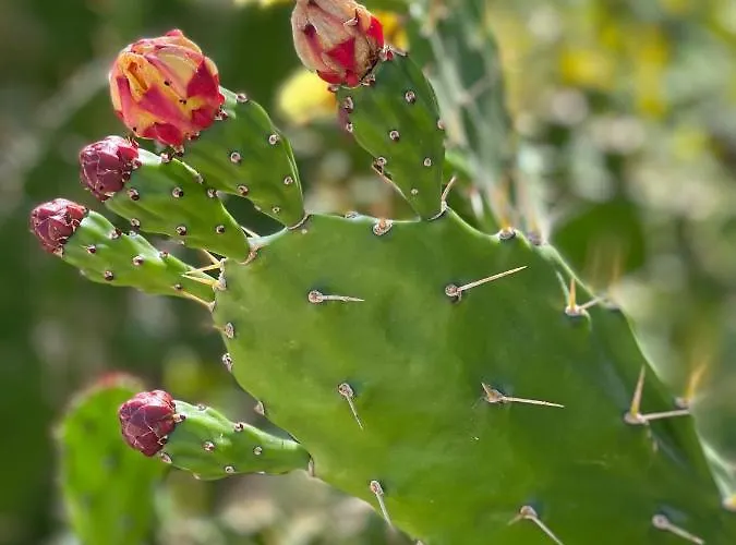 Quinta De Gestacos *
